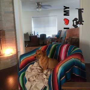 Meet your Posher, Annette